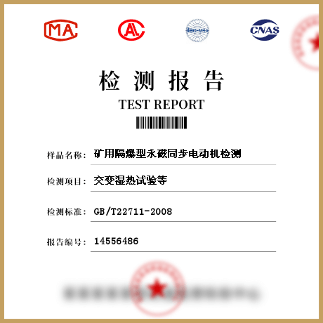 礦用隔爆型永磁同步電動(dòng)機(jī)檢測(cè)